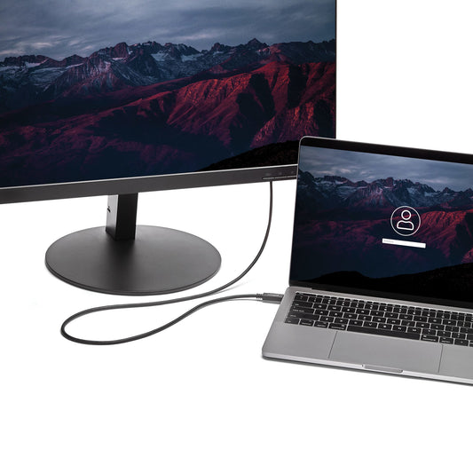 Star Tech 6ft/2m USB C to VGA Cable - 1920x1200/1080p USB Type C to VGA Video Active Adapter Cable - Thunderbolt 3 Compatible - Laptop to VGA Monitor/Projector - DP Alt Mode HBR2