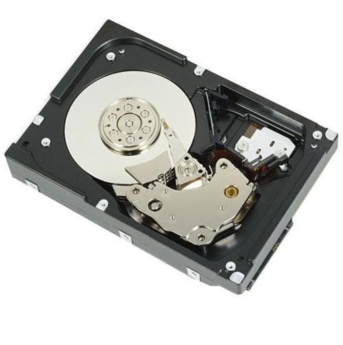 DELL 161-BBFN internal hard drive 12 TB 7200 RPM 3.5" SAS