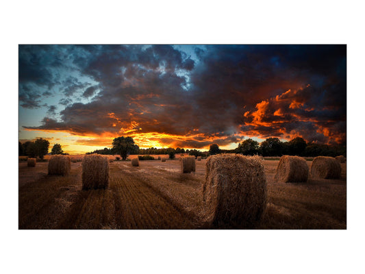 SAMSUNG (VMB-U) VIDEO WALL, 55" LED FHD, 500NITS, DP, HDMI(2), LAN, 3.5MM BEZ, 24H/7D, 3YR