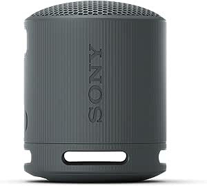 Sony XB100 Portable Bluetooth Speaker System - Black - Battery Rechargeable - USB - 1 Pack