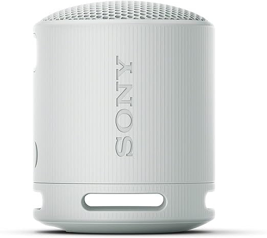 Sony XB100 Portable Bluetooth Speaker System - Grey - Battery Rechargeable - USB - 1 Pack