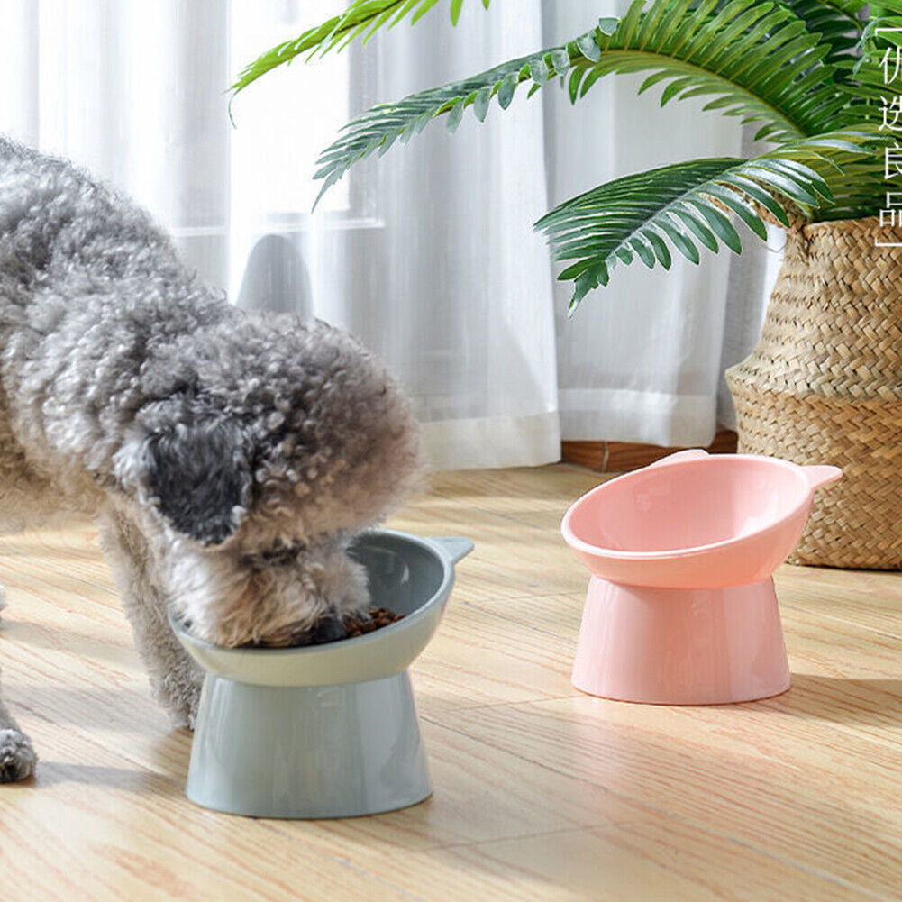 Tilted Raised Cat Food Bowl - Ergonomic Design to Reduce Vomiting for Cats and Dogs