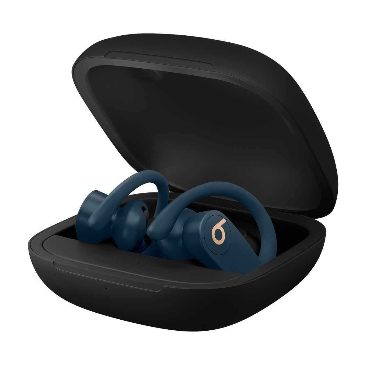 Beats Powerbeats Pro True Wireless Earbuds- Blue