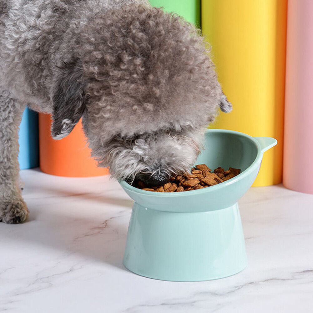 Tilted Raised Cat Food Bowl - Ergonomic Design to Reduce Vomiting for Cats and Dogs